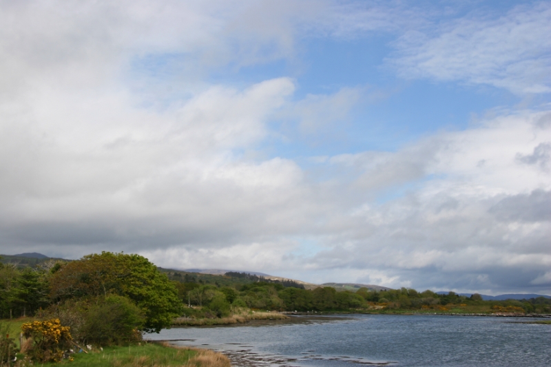 Countryside Ireland 4.jpg